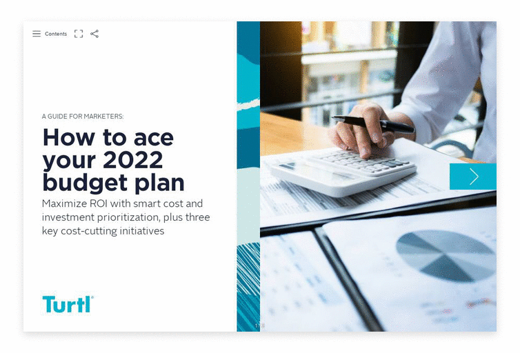 Turtl Doc: how to ace your 2022 budget plan