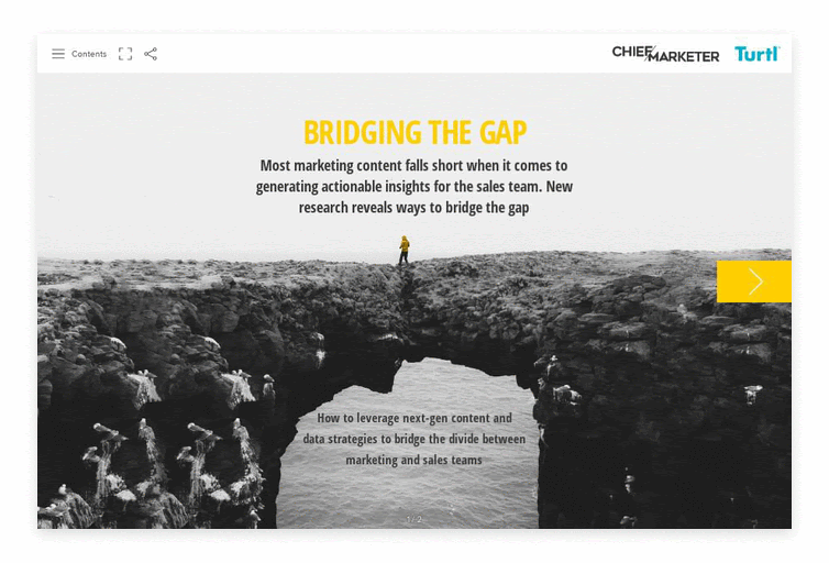 Cover of Chief Marketer's report Bridging the Gap