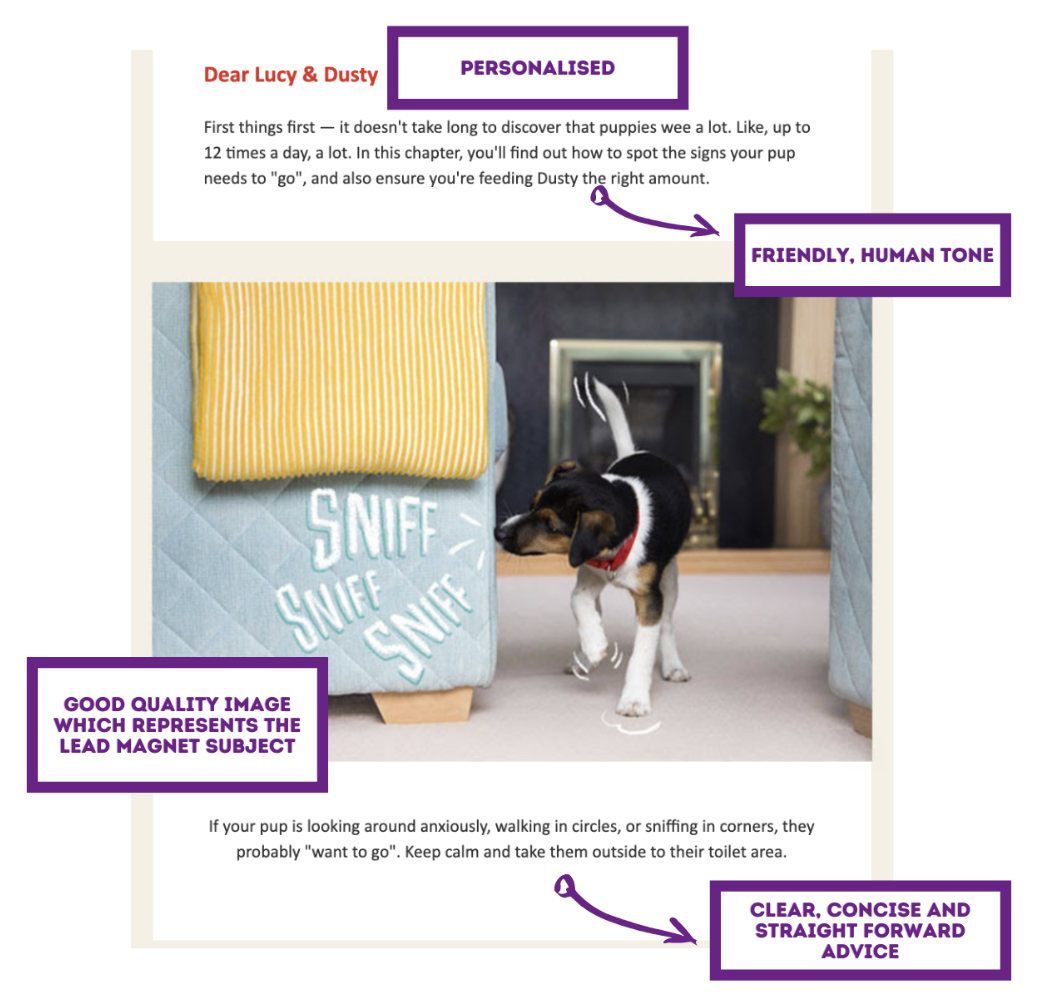 Email marketing example from Purina