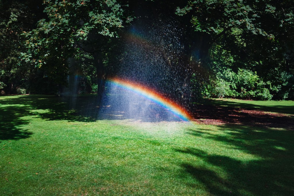 Rainbow effect captured in water sprinkler