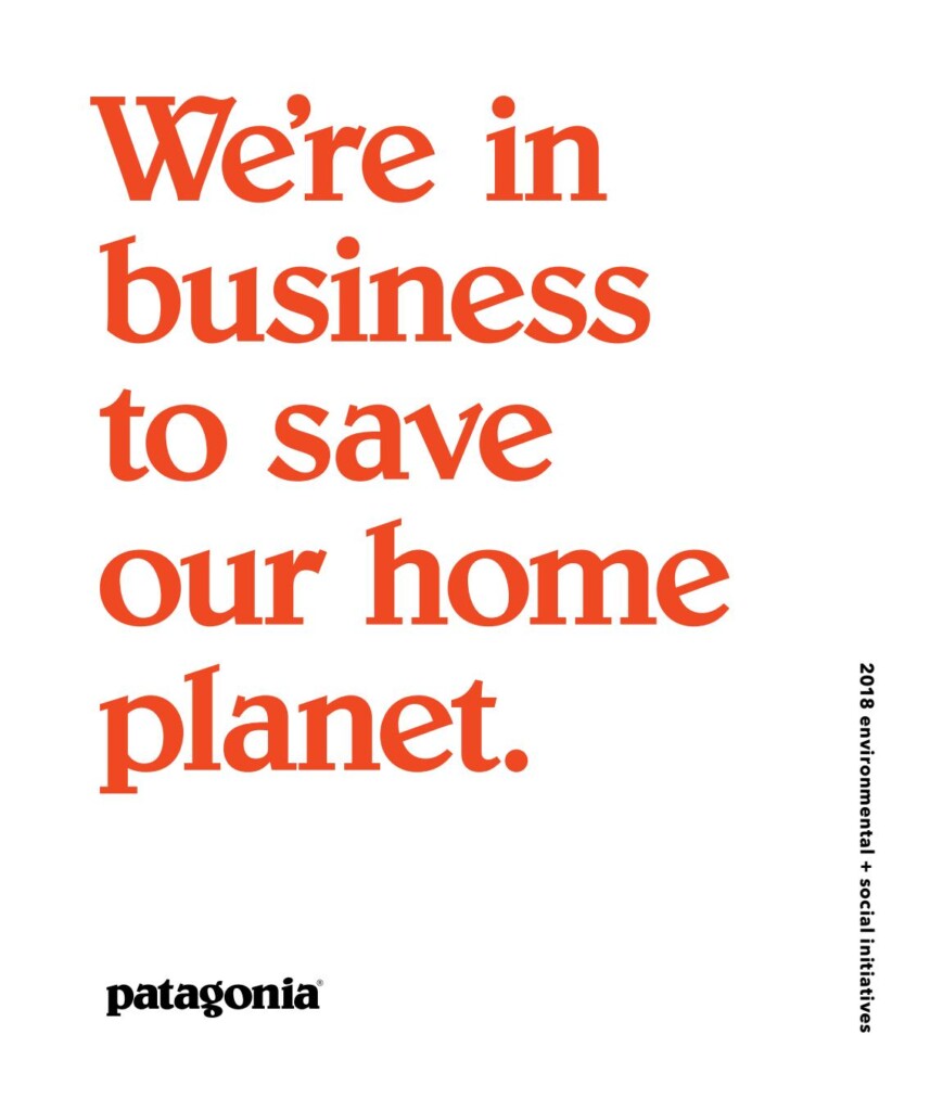 patagonia quote: we are in business to save our home planet