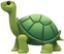 turtle-icon