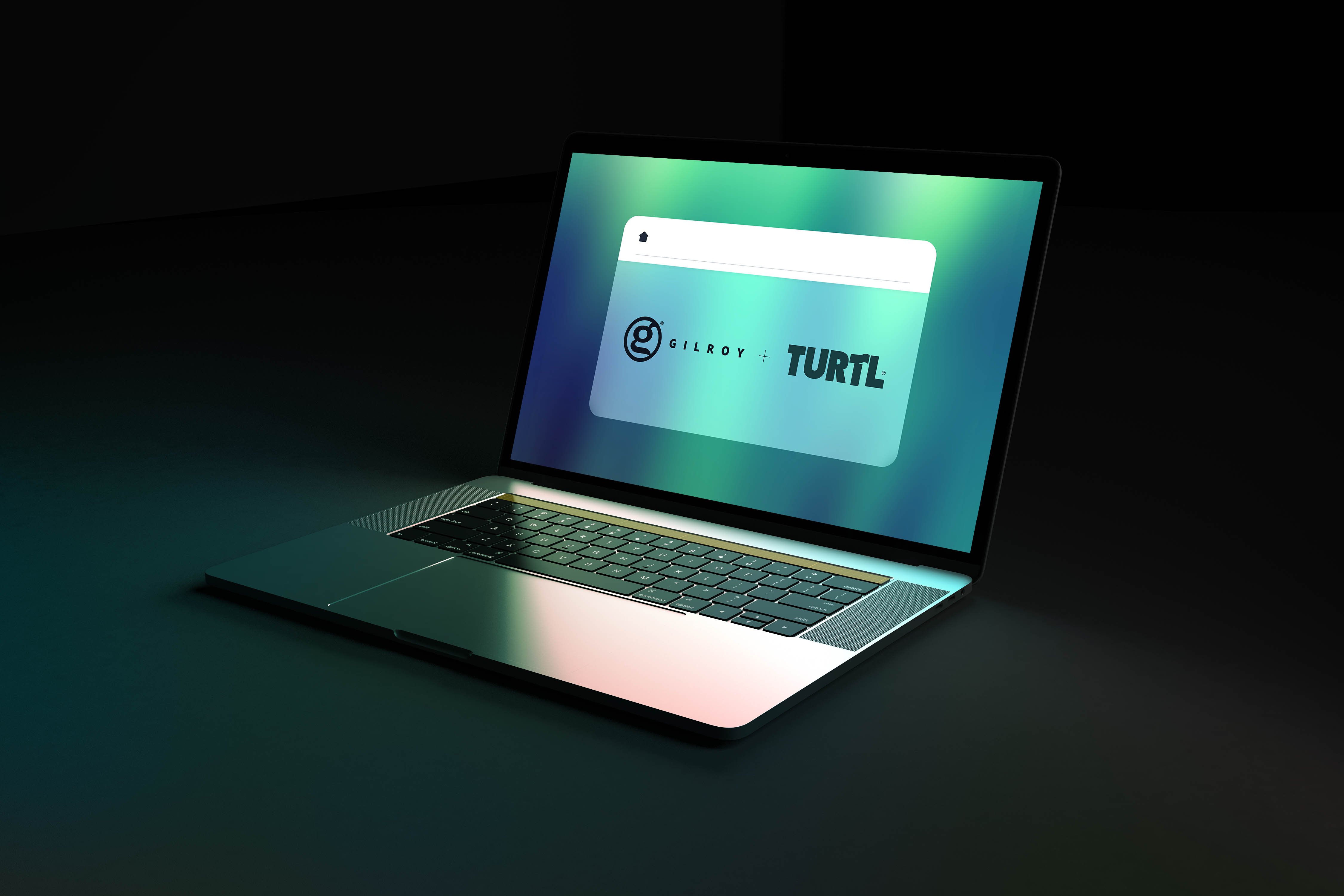 Gilroy laptop image