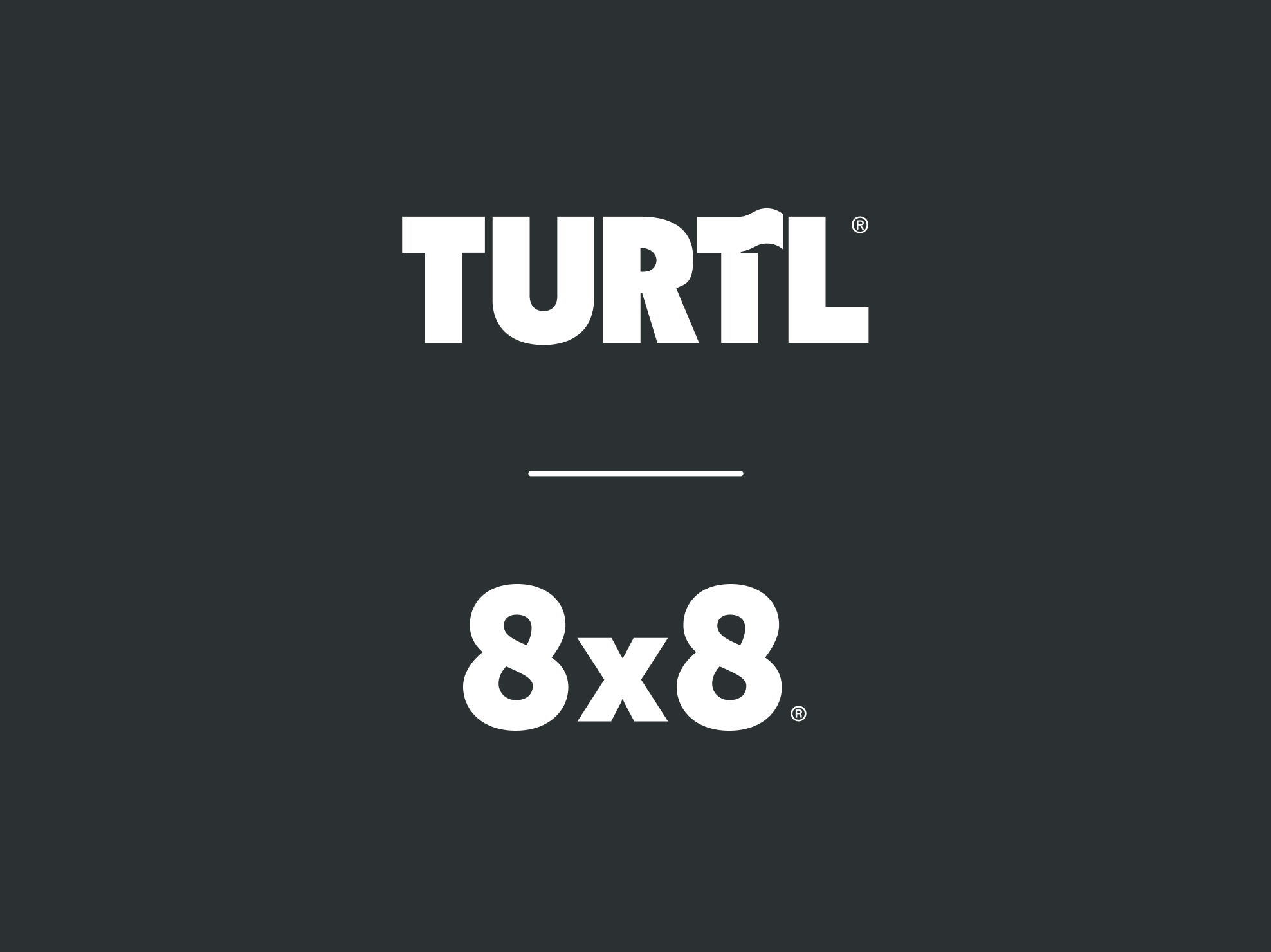 Turtl x 8x8 (1)
