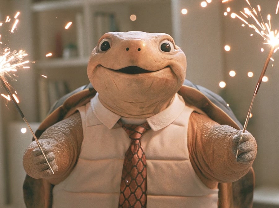 Turtle_Celebrate_v3
