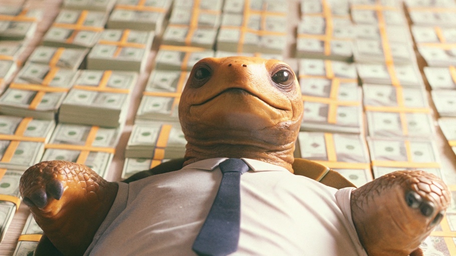 turtle lying on a bed of money