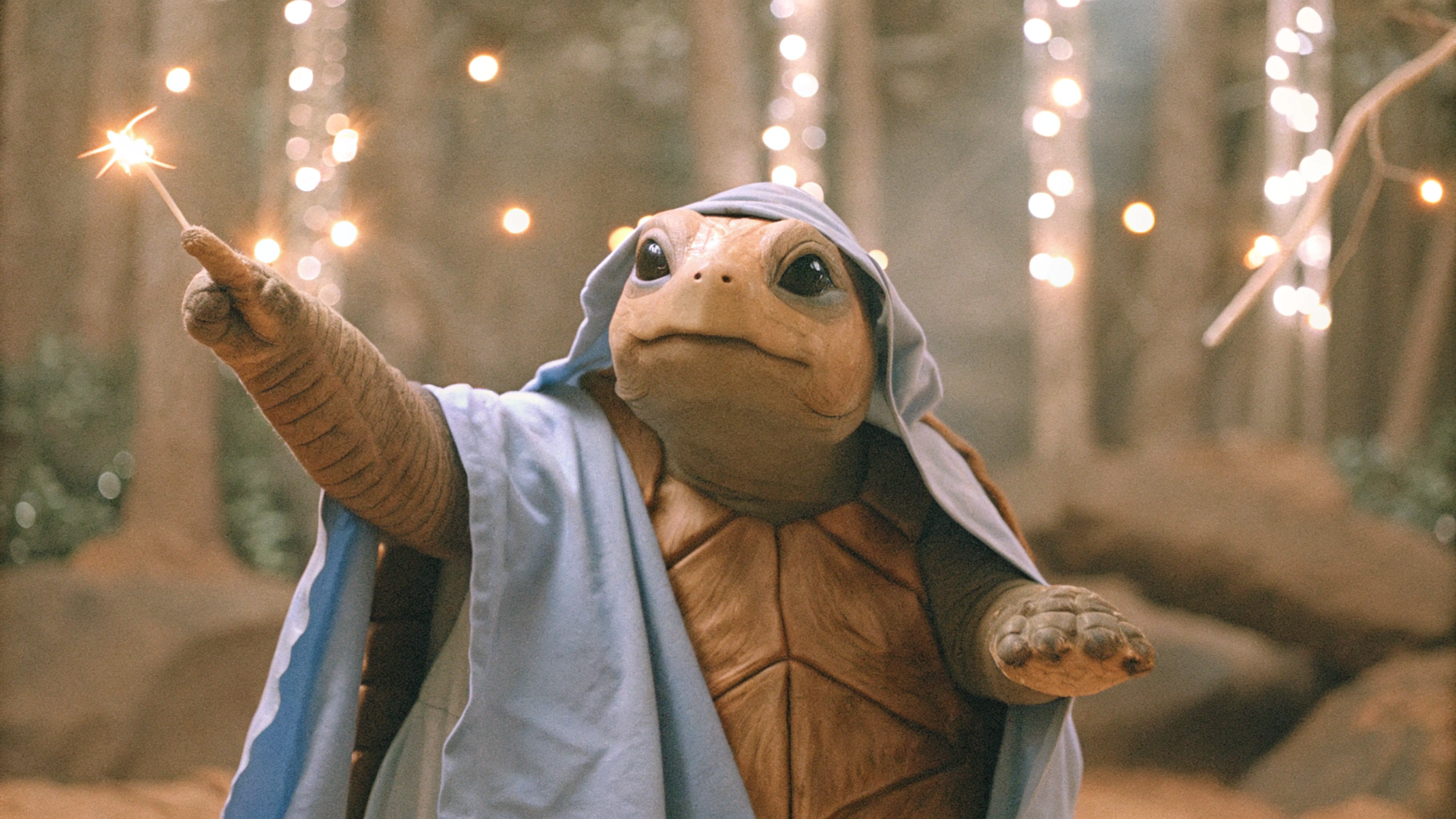 Turtle_Wizard_01