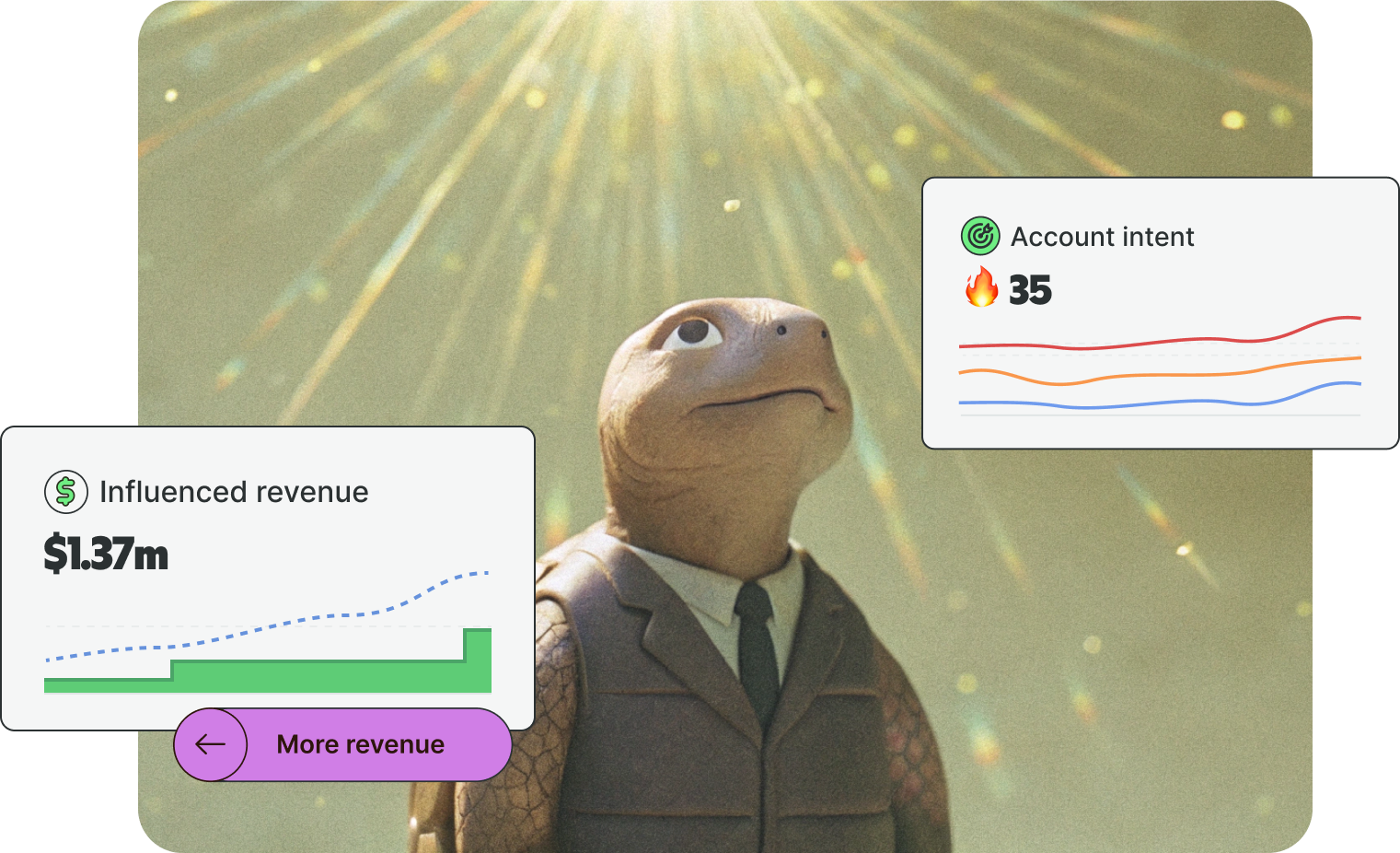 analytics-banner