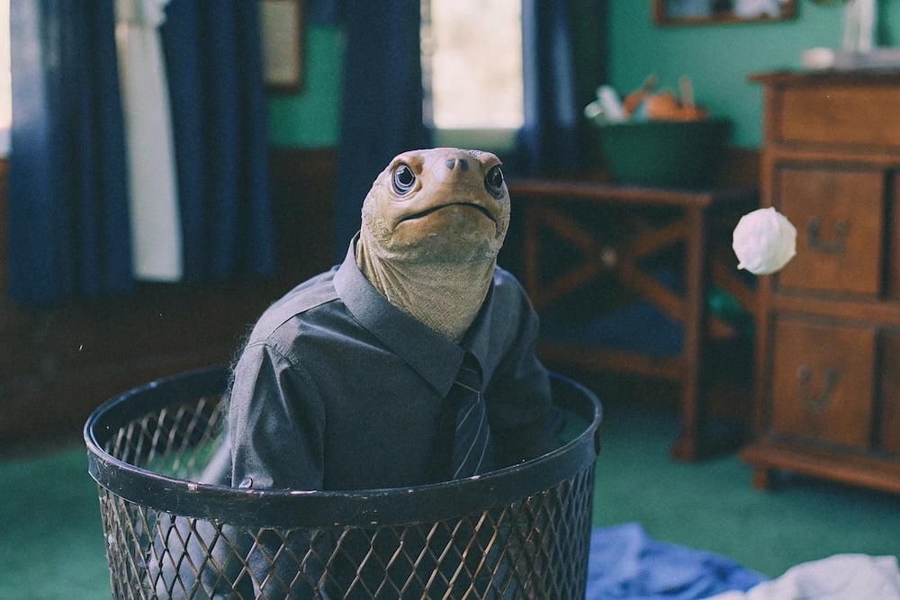 close-up-of-an-adorable-anthropomorphic-turtle-cha
