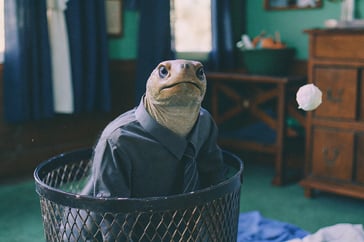 Why Sales scraps 99% of your leads
