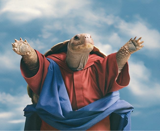 turtl-worship_hero_new-size