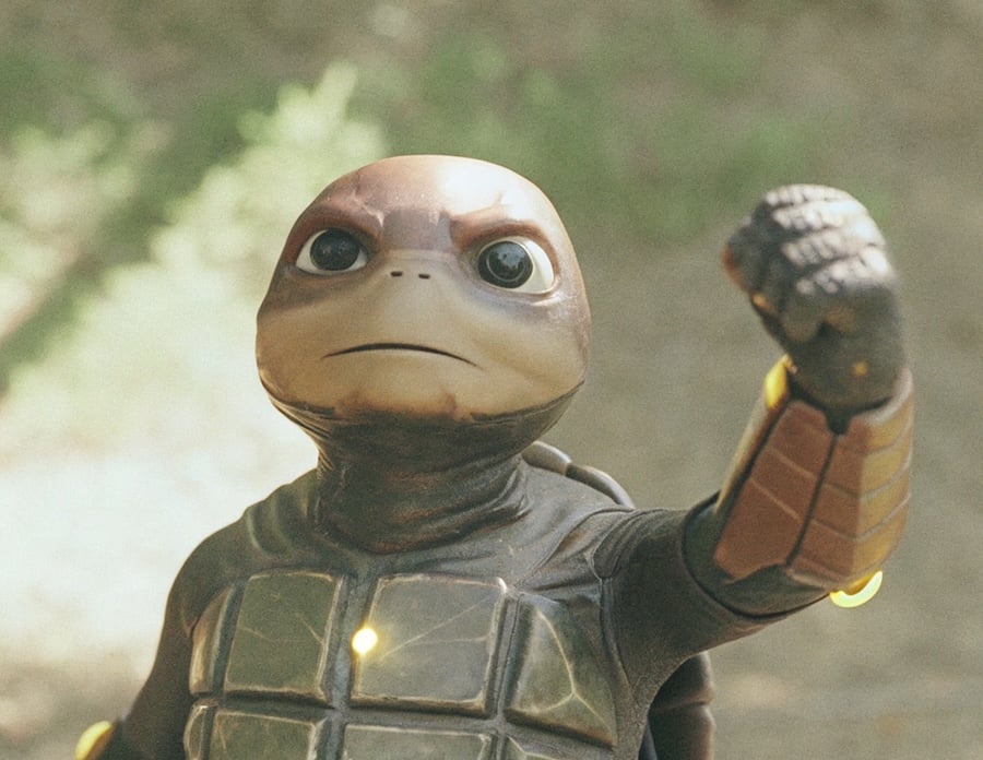 turtle-soldier