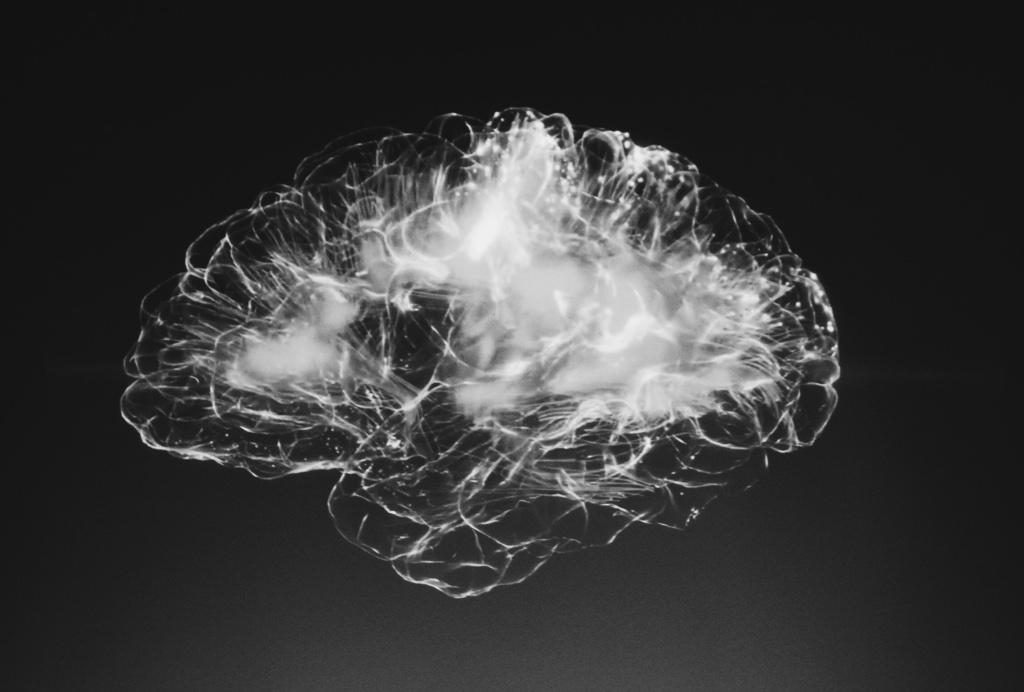 Depiction of a brain in black and white, possibly x-rayed.